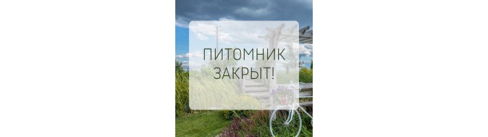 Питомник закрывается...