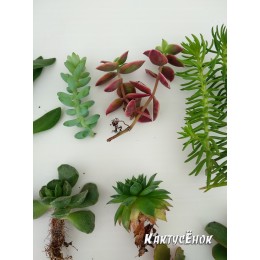 Набор "Подарок маме"