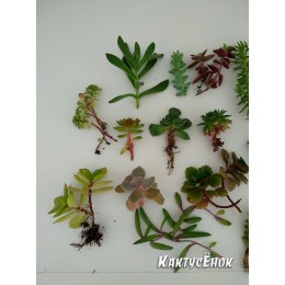 Набор "Подарок маме"