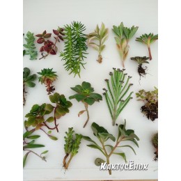 Набор "Подарок маме"