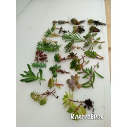 Набор "Подарок маме"