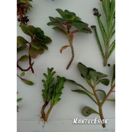 Набор "Подарок маме"