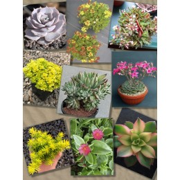 Набор "Подарок маме"