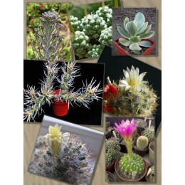 Набор "Подарок маме"