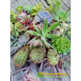 Набор "Подарок маме"