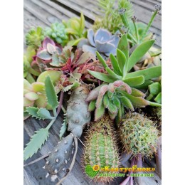 Набор "Подарок маме"