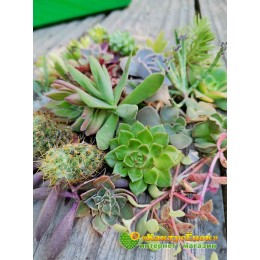 Набор "Подарок маме"