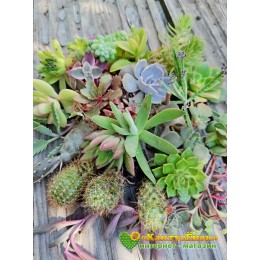 Набор "Подарок маме"