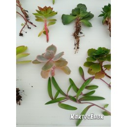 Набор "Подарок маме"