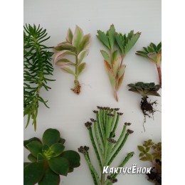 Набор "Подарок маме"