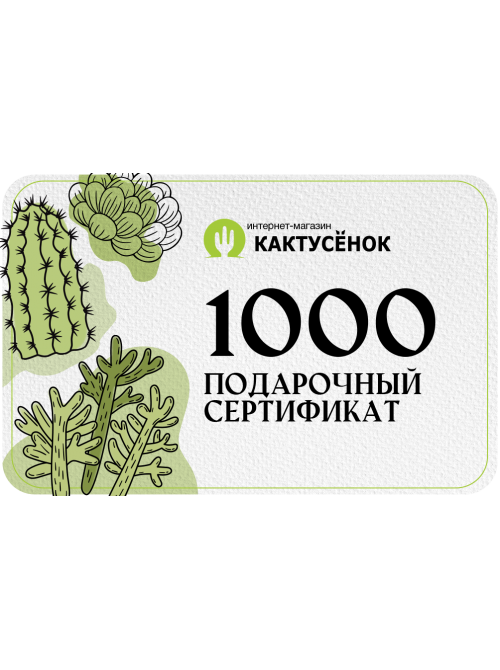 Подарочный сертификат на 1000 рублей