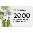Подарочный сертификат на 2000 рублей