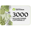 Подарочный сертификат на 3000 рублей