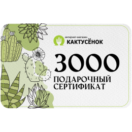 Подарочный сертификат на 3000 рублей