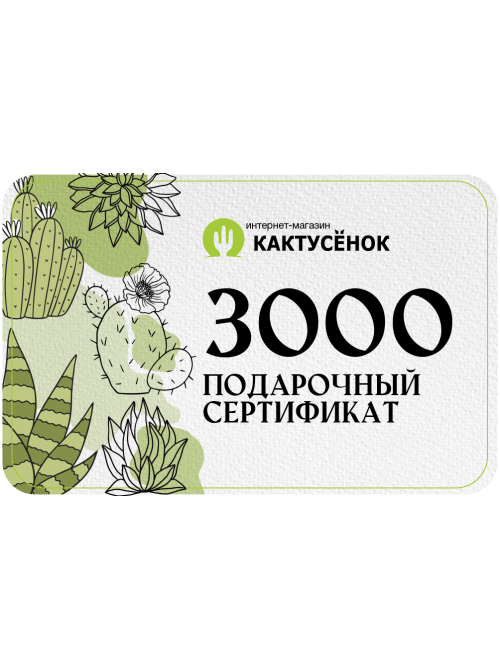 Подарочный сертификат на 3000 рублей