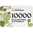 Подарочный сертификат на 10 000 рублей