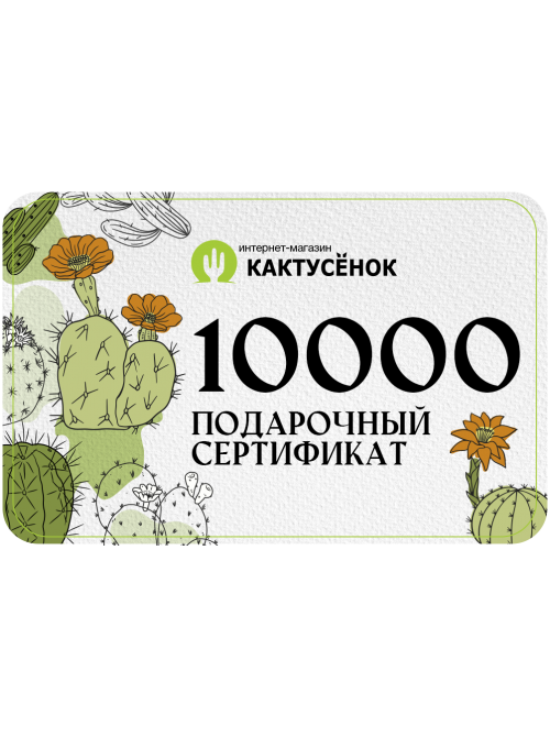 Подарочный сертификат на 10 000 рублей