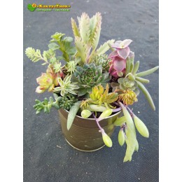 Цветочная композиция «Сделай сам»