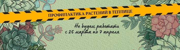 Профилактика растений с  25 марта по 7 апреля, 2024 года