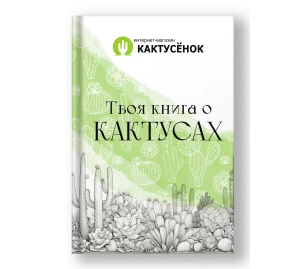 Книга