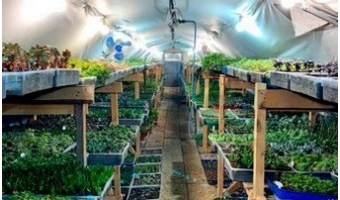ИНТЕРНЕТ МАГАЗИН КАКТУСЁНОК